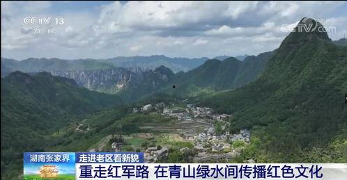 青山在线观看,探索网络世界的绿色之旅  第1张