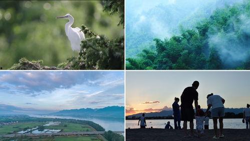 青山在线观看,探索网络世界的绿色之旅  第3张