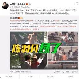 阿诺最新爆料视频大全集,视频大全集深度解析  第3张
