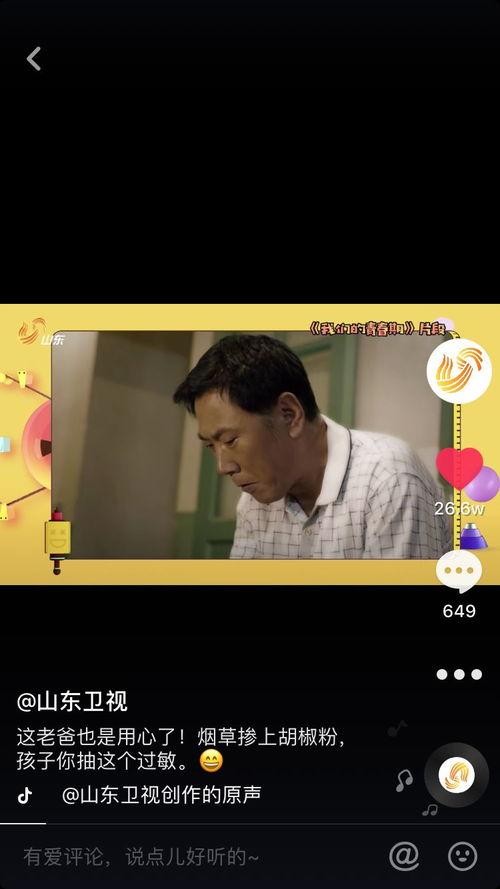 二虎爆料李婷婷视频播放,揭秘背后真相  第3张