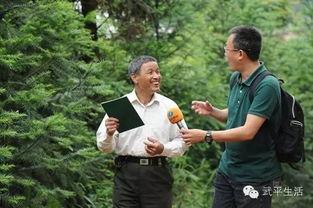 李桂林最新爆料新闻,揭秘事件背后惊人真相  第3张