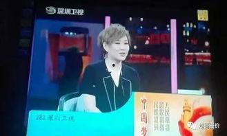 深圳卫视直播在线观看高清,尽享高清视听盛宴  第2张