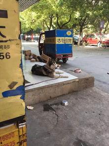 鄂州快递爆料视频,揭秘快递行业背后真相  第3张