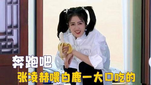 爱豆吃瓜娱乐白鹿,爱豆吃瓜娱乐背后的故事  第2张