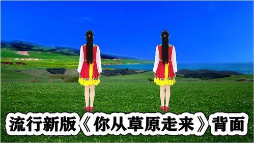 爆料热榜舞蹈视频大全,舞动青春，魅力四溢