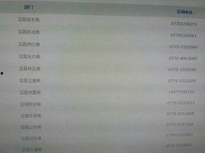 广西新闻在线热线爆料,聚焦民生热点，揭示社会现象  第2张