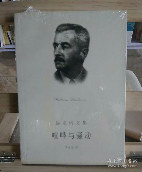 喧哗与骚动在线观看,探寻人类情感的纷扰与挣扎