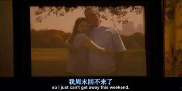 电影丢不丢人在线观看,揭秘人性挣扎与自我救赎的感人之旅  第3张