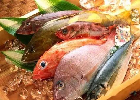 抠鱼鳃吃瓜视频大全免费观看,抠鱼鳃吃瓜视频大全，趣味无限，笑料横生！  第3张