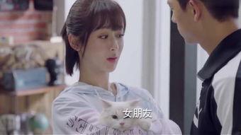 亲亲在线观看簧片,揭秘网络簧片背后的秘密与诱惑  第3张