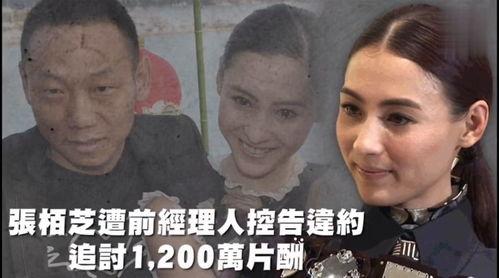 娱乐吃瓜苦,揭秘娱乐圈背后的酸甜苦辣  第2张