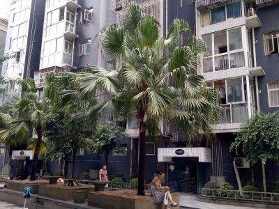 世纪家园爆料事件真相视频,揭秘真相背后的惊人内幕  第2张