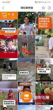 扶贫网红爆料视频大全集,视频大全集深度解析