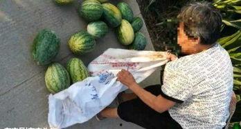 大荔吃瓜最新事件爆料,最新爆料揭秘幕后真相 第3张 大荔吃瓜最新事件爆料,最新爆料揭秘幕后真相 第3张