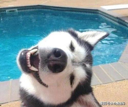 二驴和阿伊最新爆料,揭秘娱乐圈幕后真相  第2张