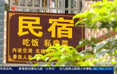 广东最新爆料消息新闻报道,聚焦热点事件深度解析  第2张