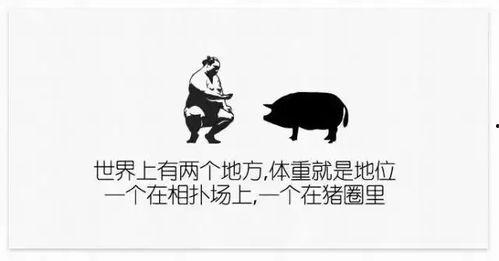 最新人文爆料文案,探寻历史与现实的交融火花  第3张