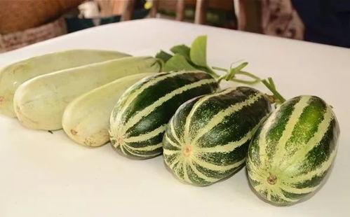 网红免费吃瓜视频,揭秘幕后真相与娱乐效应 第3张 网红免费吃瓜视频,揭秘幕后真相与娱乐效应 第3张