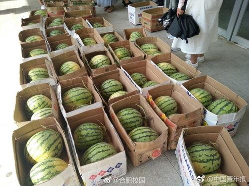 校园吃瓜免费网站,轻松获取校园热点，畅享校园生活乐趣  第3张