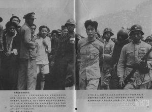 爆料日本战犯是谁啊视频,日本战犯名单曝光，历史真相再引关注