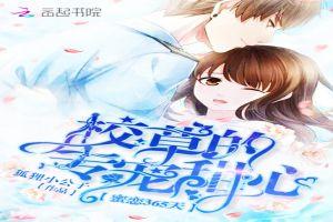 神仙吃瓜小说免费阅读无弹窗,无弹窗免费畅读，揭秘仙界风云  第2张