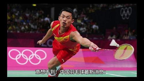 羽毛球最新爆料,神秘选手崛起,赛场风云再起 第1张 羽毛球最新爆料,神秘选手崛起,赛场风云再起 第1张