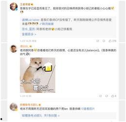 小影二妹的最新爆料,揭秘娱乐圈最新热点事件  第3张