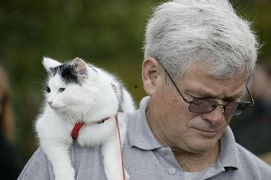 今日动物爆料新闻最新,今日动物爆料新闻揭秘